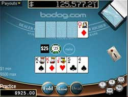 Bodog Online Caribbean Holdem