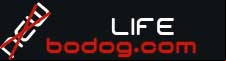 BodogLife Online Poker